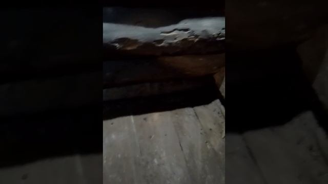готовлю потихоньку помещения к будущему потомству утей