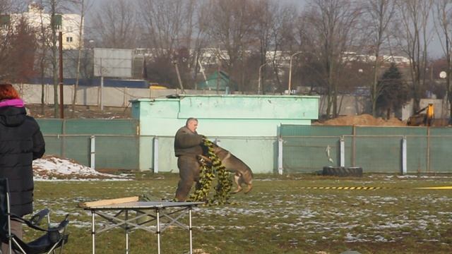 19.11.2016 Минск Тоник единица