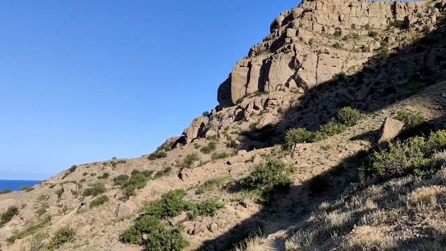 1000086181.mp4
