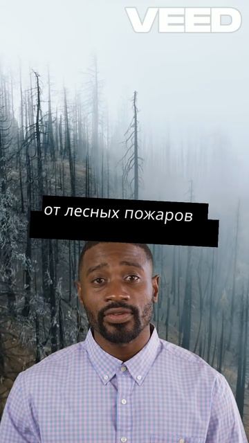 Трамп Осматривает Ущерб. Первая Поездка!