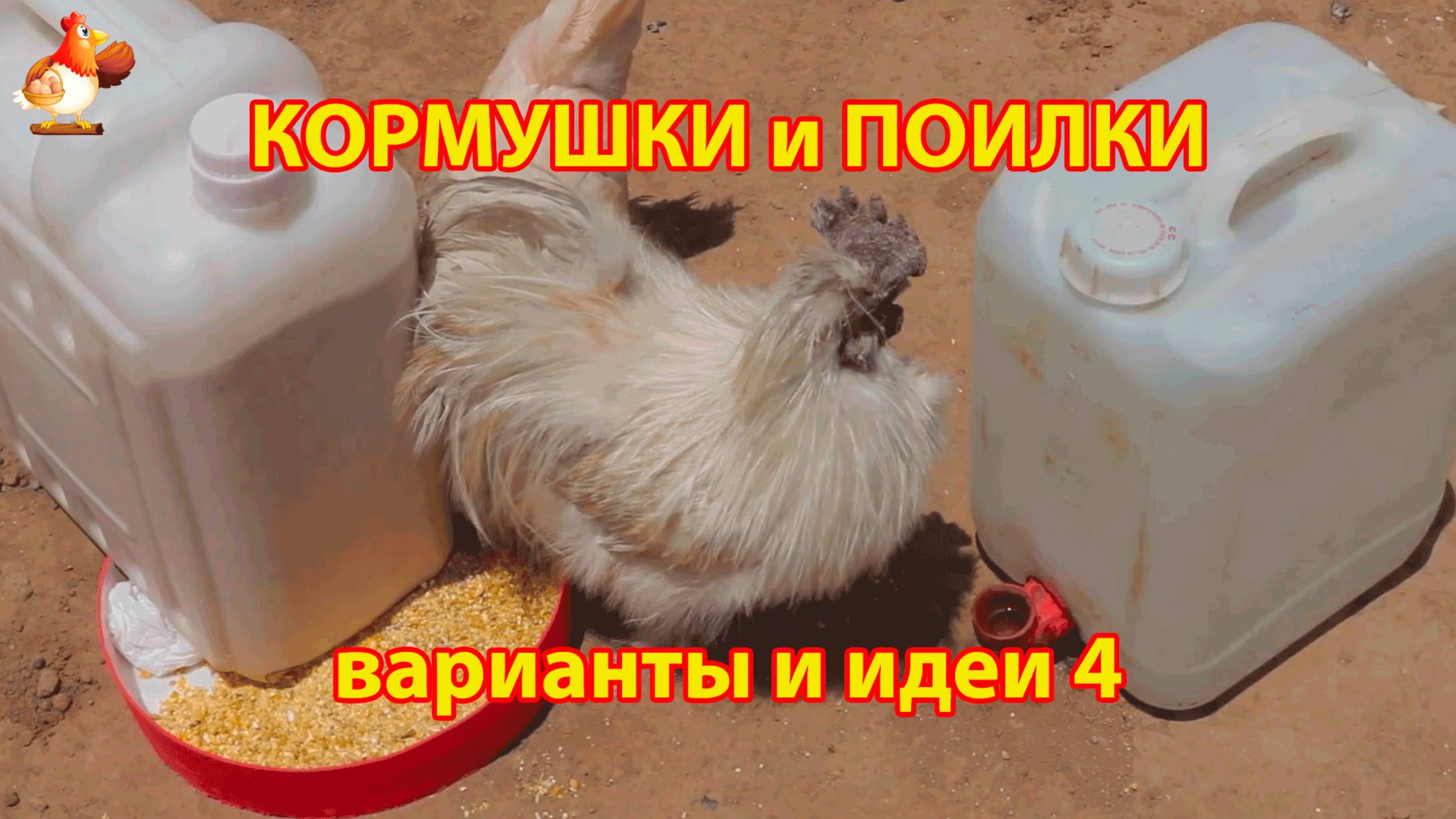 Кормушки и поилки для кур своими руками (4) 🪚🪛 Пошаговая инструкция как сделать 🐔 🐓❣️