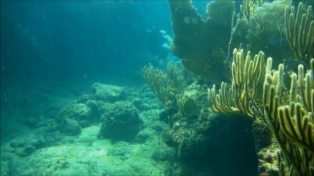 Scuba Diving in Cuba, Cayo Santa-Maria HD with music (sept-oct 2014)