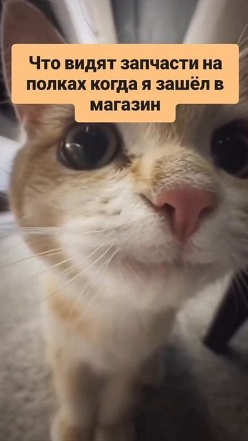 Японском автомагазине