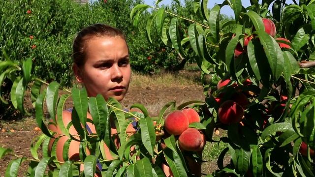 Иностранцы ARAB