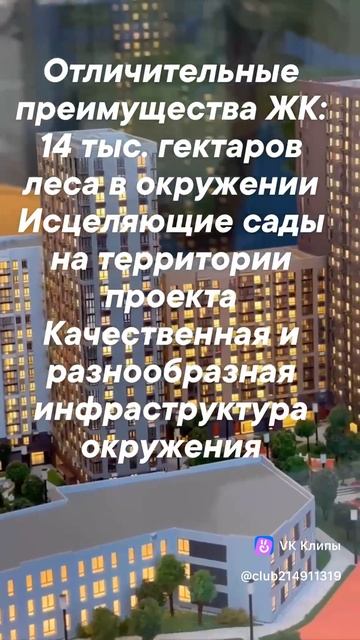 clip214911319_456239018