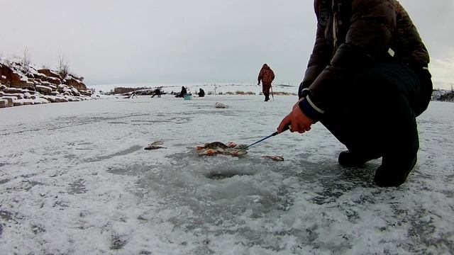ЗИМНЯЯ РЫБАЛКА 2020 // ШОК РЫБАЛКА! ЖОР ОКУНЯ НА МОТЫЛЯ / часть 3