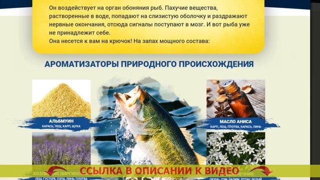 ⚪ ЛУЧШИЙ АКТИВАТОР КЛЕВА РЫБА