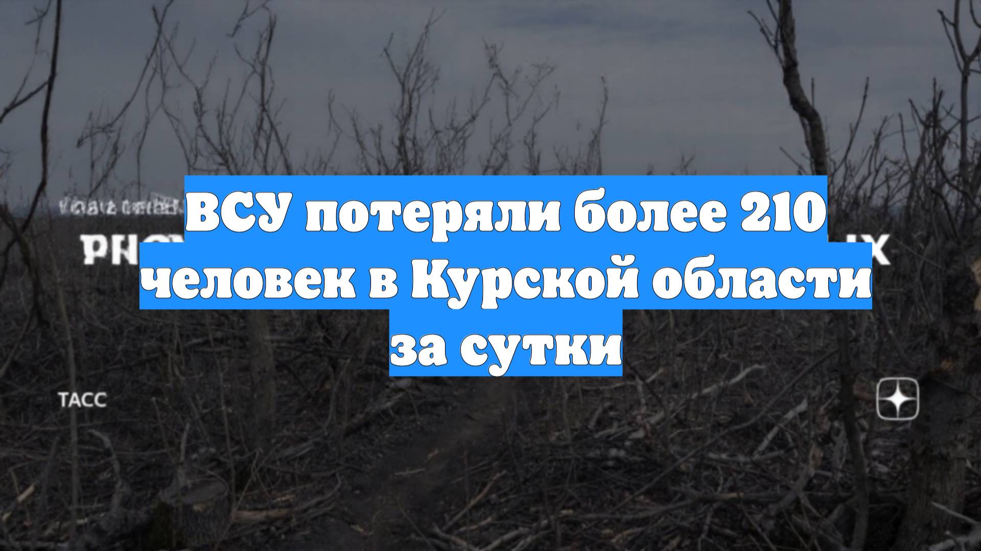 ВСУ потеряли более 210 человек в Курской области за сутки