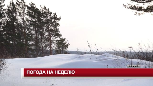 ПОГОДА НА НЕДЕЛЮ 20.01