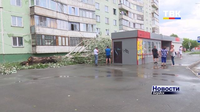 Сильный ветер в Бердске повалил деревья