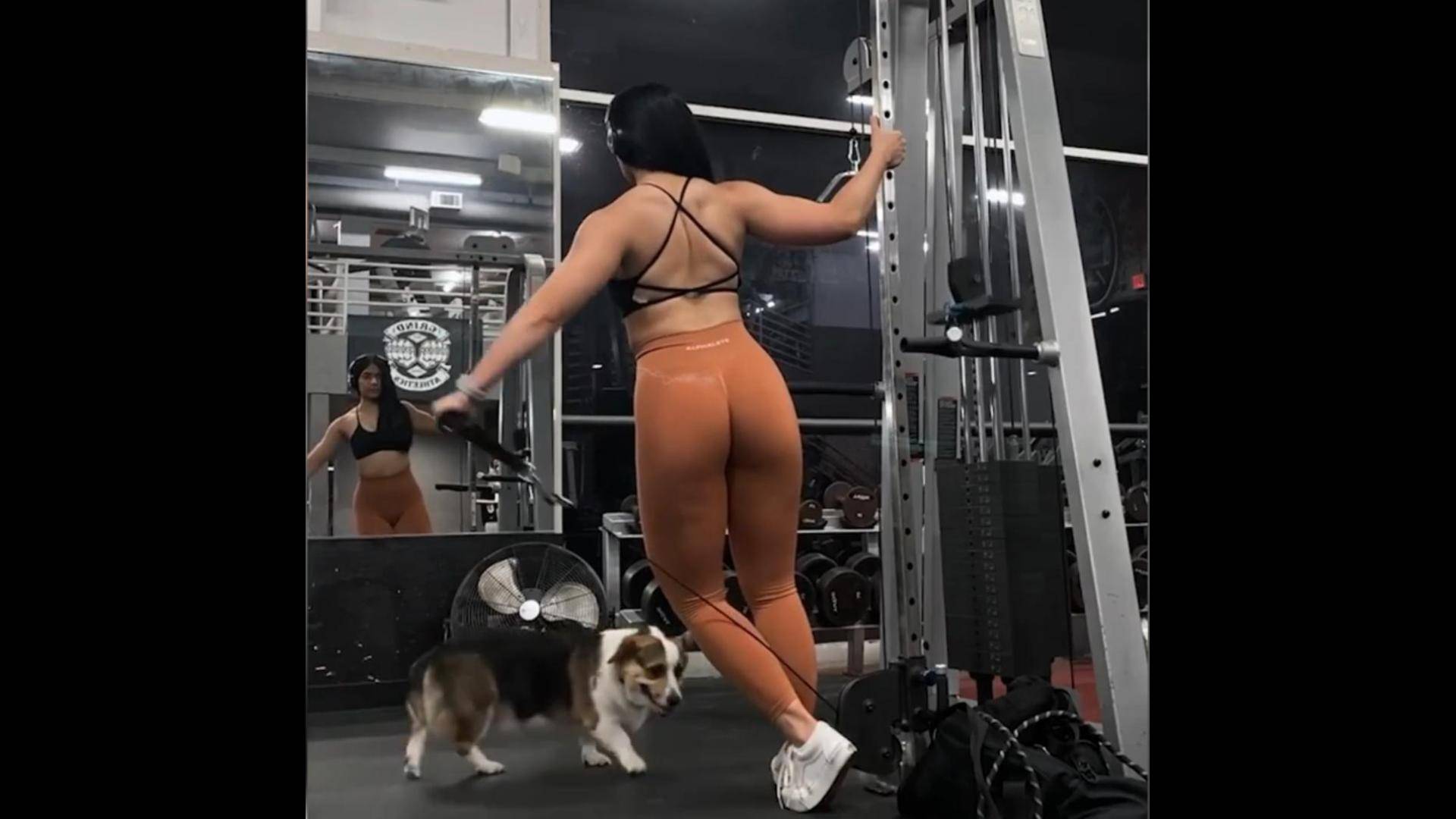мотивация,спорт,музыка,Workout,ФИТОНЯШКИ (59)..