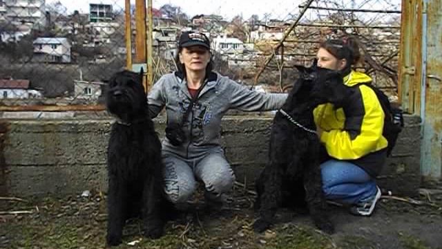 Роман-Кош Батый Грет Могол и Роман-Кош Венеция Дарк Найт