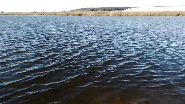 Платина Тургенево