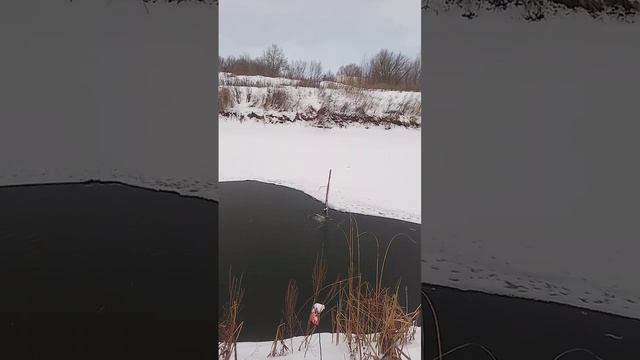 1000034552.mp4