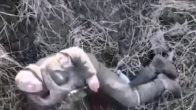 Дружба Божия награда- стихотворение Александра Комиссарова