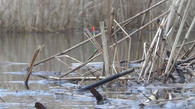 ПЕРВАЯ РЫБАЛКА НА ПОПЛАВОК В ЯНВАРЕ. ВОТ ЭТО КЛЕВ!!!