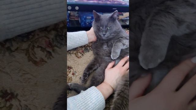 Перепись котонаселения у родственников