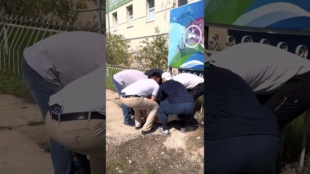 ФГБОУ ВО Чурапчинский государственный институт физической культуры и спорта, Облагораживание 🌺🌸🌼
