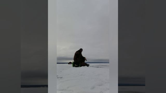 Рыбалка на судока