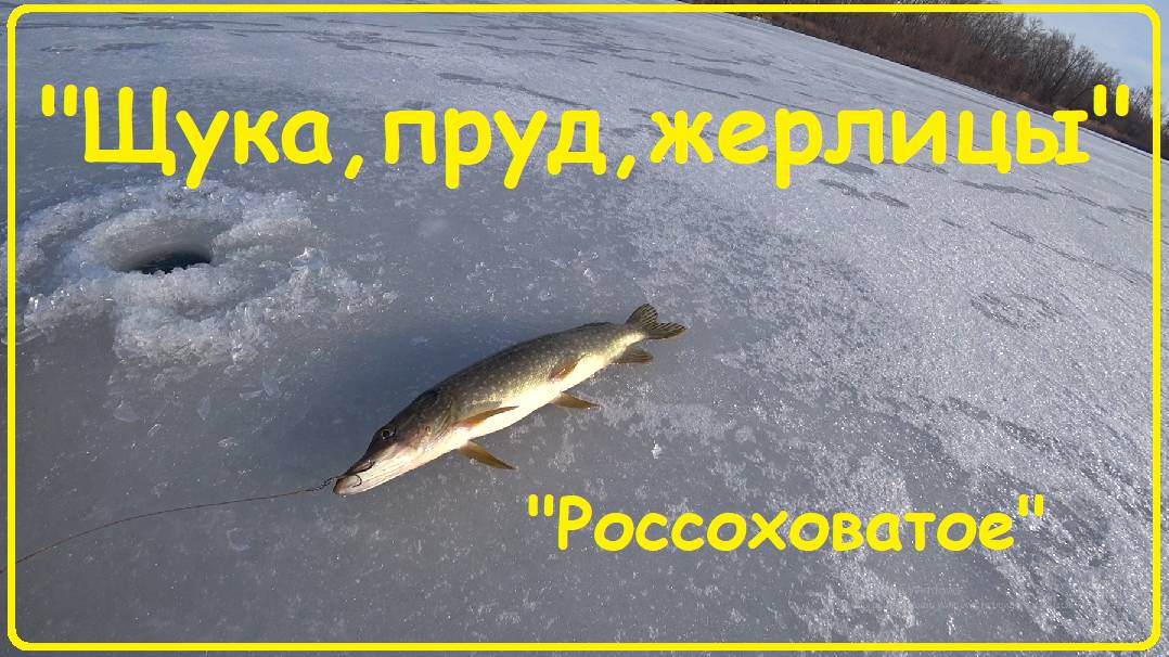 "Щука,  пруд, жерлицы", пруд в "Россоховатом"