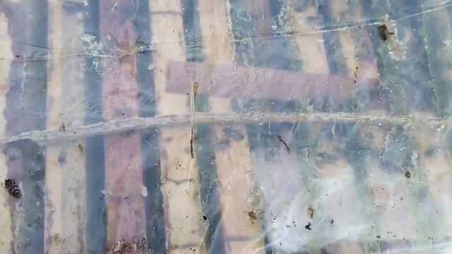 Итоги зимовки 24 год