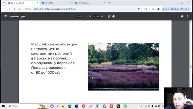 Цветник. Клумба. Виды цветников.