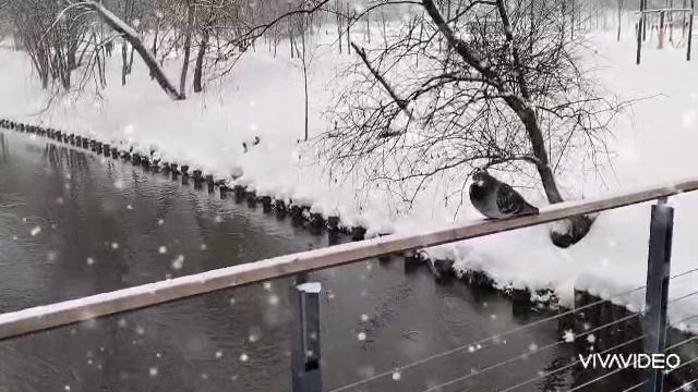 ❄️❄️❄️ПАДАЛ БЕЛЫЙ ПУШИСТЫЙ КРАСИВЫЙ СНЕГ...❄️❄️❄️