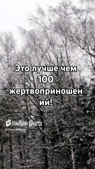 это лучше чем 100 жертвоприношений