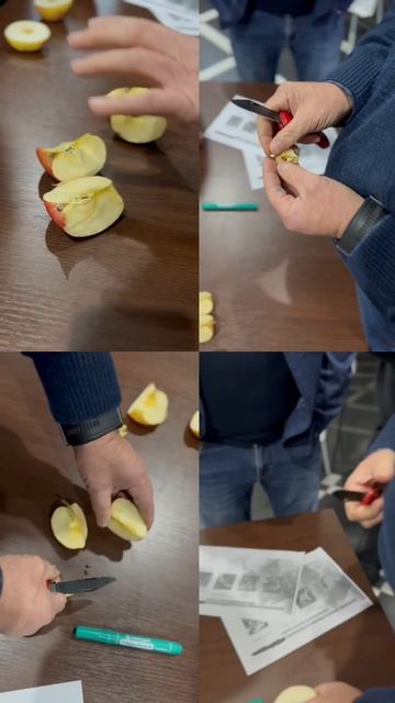 Обучение команды  BINOM: плодово-ягодные культуры