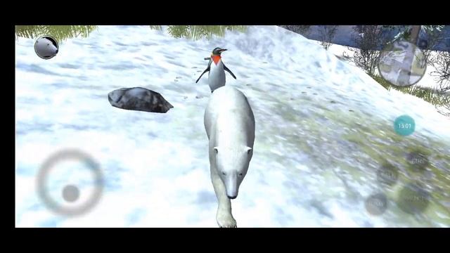 30 Minutos Na Vida De Um Urso Polar - (Polar Bear Simulator 2)