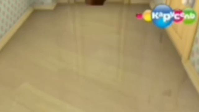 вырезанный фрагмент Барбоскины (30.07.2014