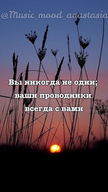 Послание от вселенной 🪷 Вы никогда не одни; ваши проводники всегда с вами