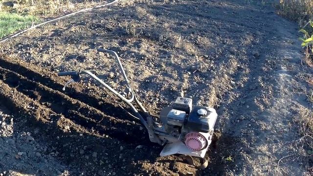 ЖИВЕМ В ДЕРЕВНЕ!!ГОТОВИМСЯ САЖАТЬ ЧЕСНОК И ЛУК В ЗИМУ!!!ЧИСТИМ ОВОЩНЫЕ ГРЯДКИ!!!Деревенский влог