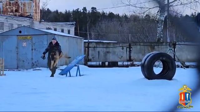 1000130506.mp4
