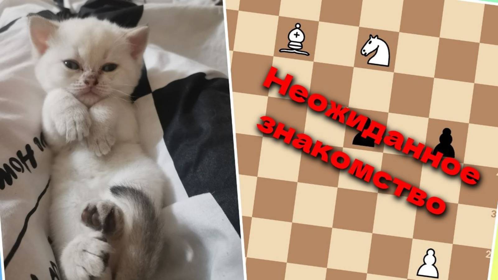 Задачка с сюрпризом! Мат в 4 хода!
