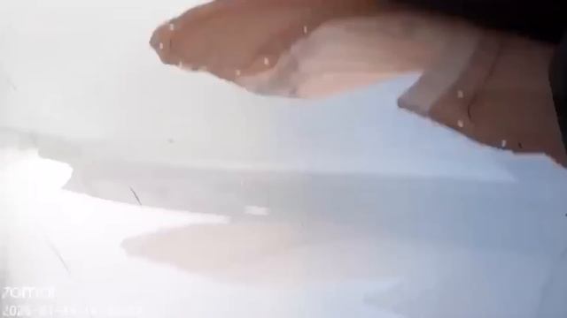 Почему так много ДТП_ Январьнутые Торопыги и Водятлы на Дороге! (1080p)