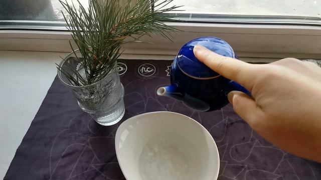 VID_20250117_142835