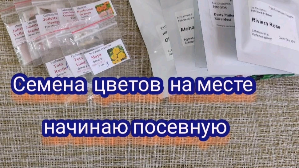 Ассортимент цветов на новый сезон. Приступаю к посевам, мои сроки.