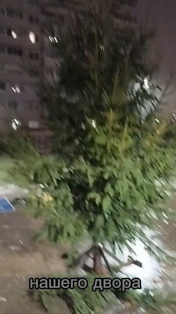 Традиции нашего двора