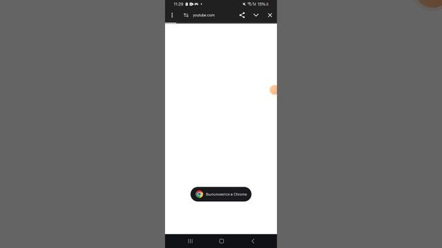 XRecorder_19012025_112236