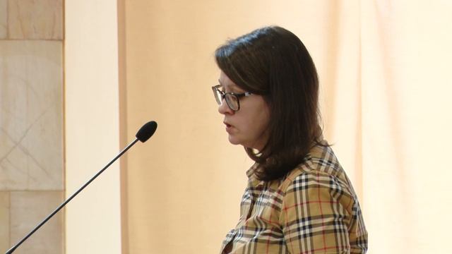 Онлайн-трансляция публичных слушания по внесению изменений в Устав Екатеринбурга