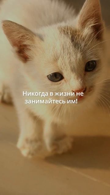 Самый главный совет по трейдингу! #биржа #trading #нефть #инвестиции #bitcoin #eurusd #crypto #акции