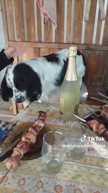 Ничего не хочет...)))