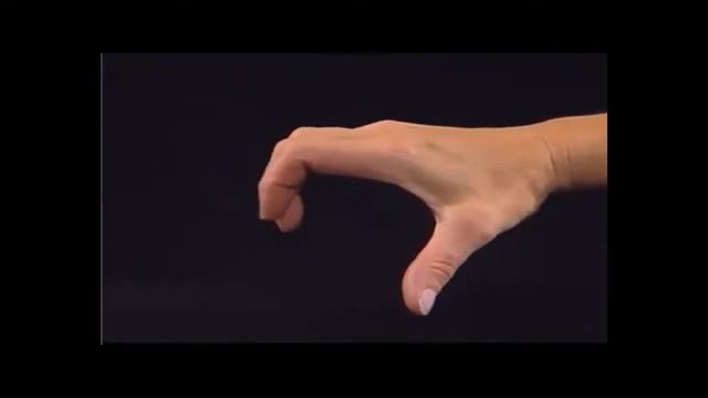 KINETEC Maestra