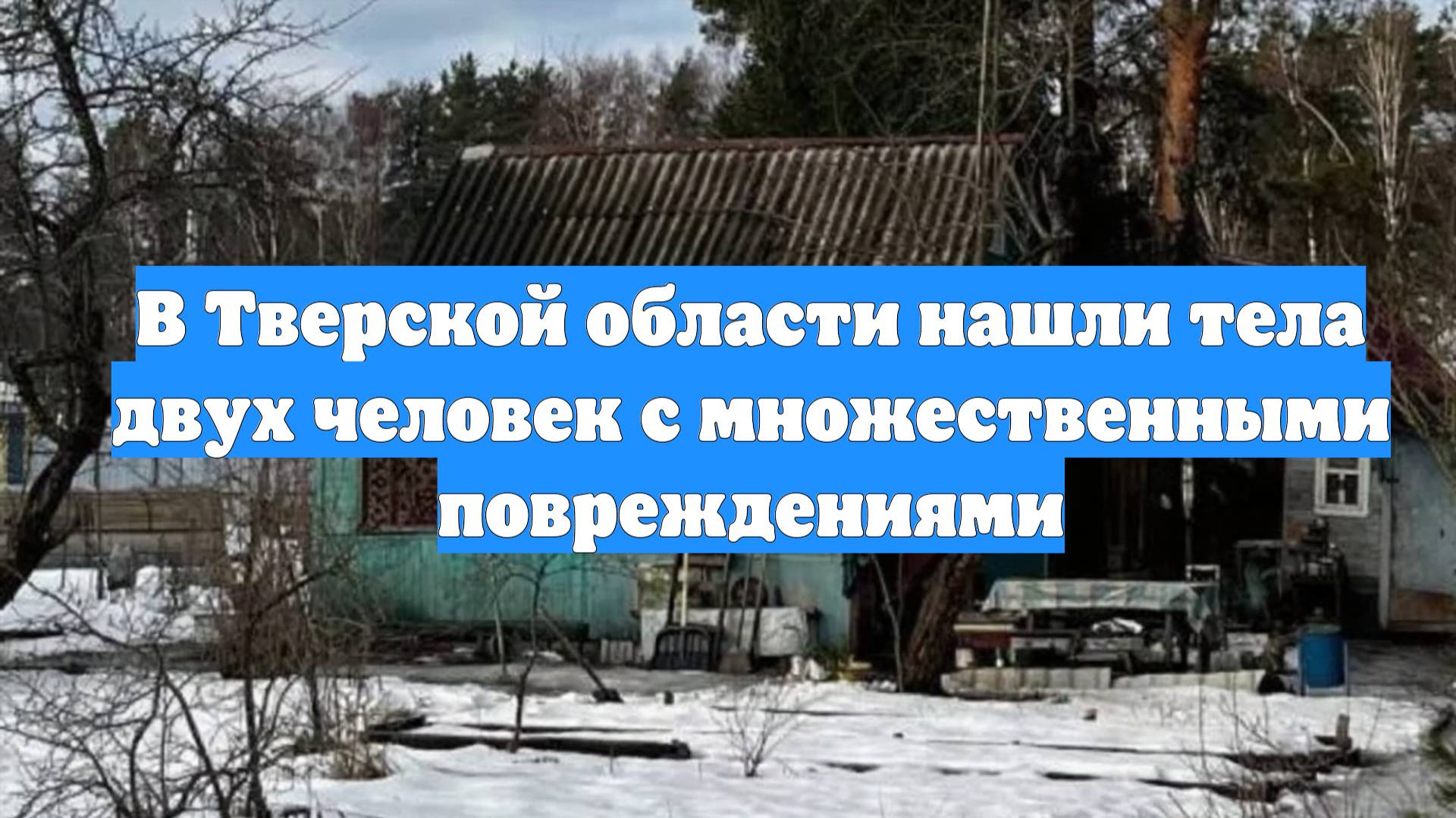 В Тверской области нашли тела двух человек с множественными повреждениями