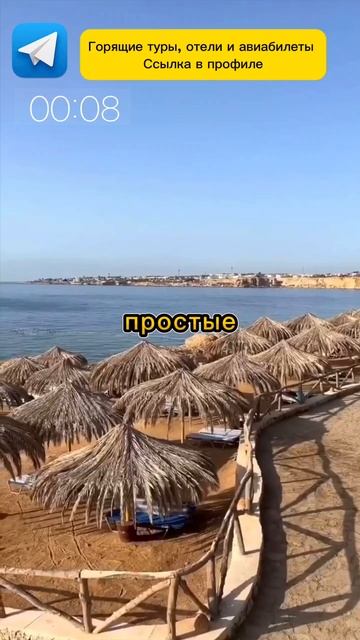 ЕГИПЕТ В ФЕВРАЛЕ