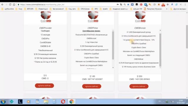 План действий по заработку в CoinMD