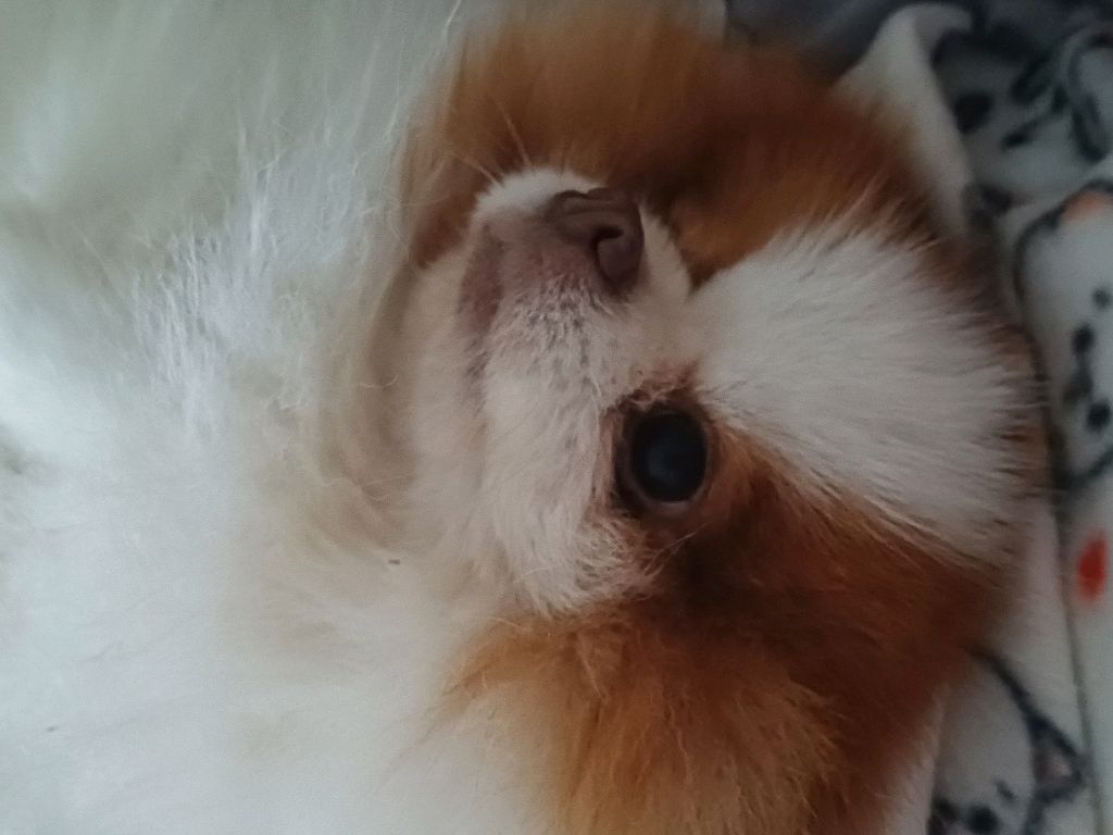 ♡