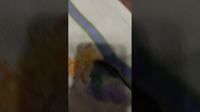 1000042329.mp4
