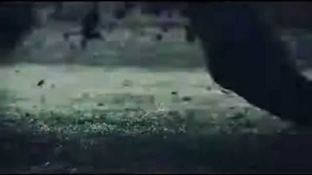 22 ноября 2020 г.